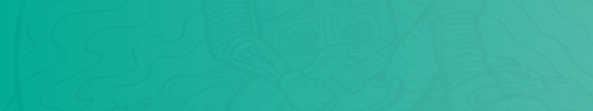 off-white pattern on a teal background